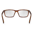 JASP 03, Havana Shiny-, hi-res image number null